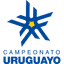 Uruguay Primera Division