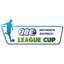 Northern Ireland League Cup