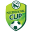 South Africa League Cup