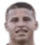 Teixeira leo