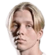 willem haapiainen