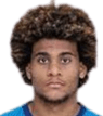 Lamine Diaby Fadiga