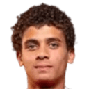 Hamza Abdelkarim