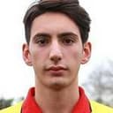 डोमेनीको ब्रुनेटी