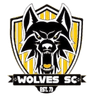 ওল্ভস স্পোর্টস ক্লাব