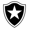 Botafogo RJ Youth