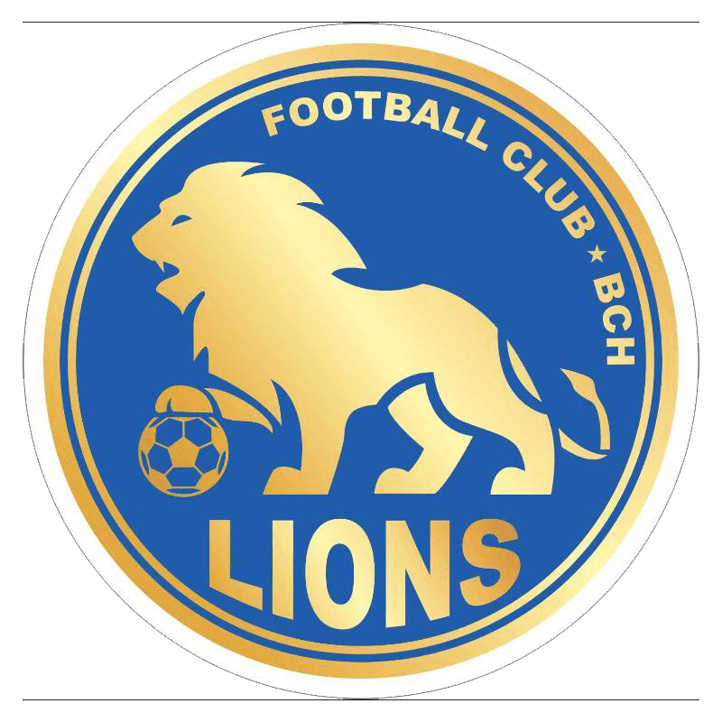 बीसीएच लायंस