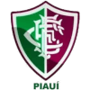 Fluminense PI (Youth)