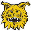 Ilves U20