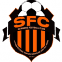 স্লিঙ্গার্জ