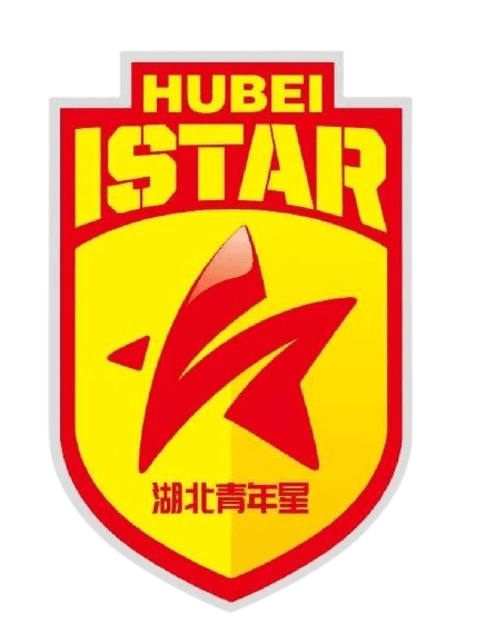 हूबेई यूथ स्टार U13