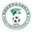 Shaanxi Jiaxin Weiye Football FC