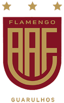 AA Flamengo U20