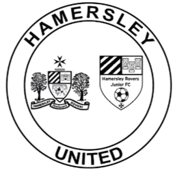 হ্যামারসলে রোভার্স (মহিলা)