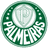 Palmeiras Youth