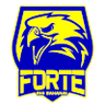Forte FC Youth