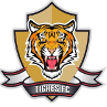 टिग्रेस U19