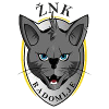 ZNK Radomlje Women