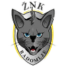 ZNK Radomlje Women