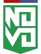 नोवो एस्पोर्टे क्लब इपाटिंगा