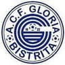FC Gloria Bistrita