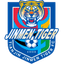 टियानजिन जिनमेन टाइगर U13