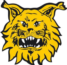 এফসি ইলভস দ্বিতীয় আন্ডার ২০