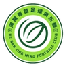 Zhengzhou Jingmiao U17