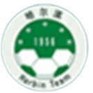 Heilongjiang Harbin Football Team