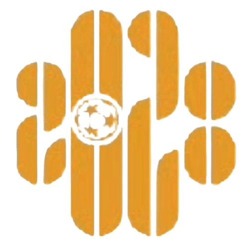 শেনঝেন ২০২৮