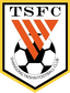 Shandong Taishan FC