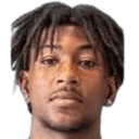 Helmer Heleno Tavares Borges